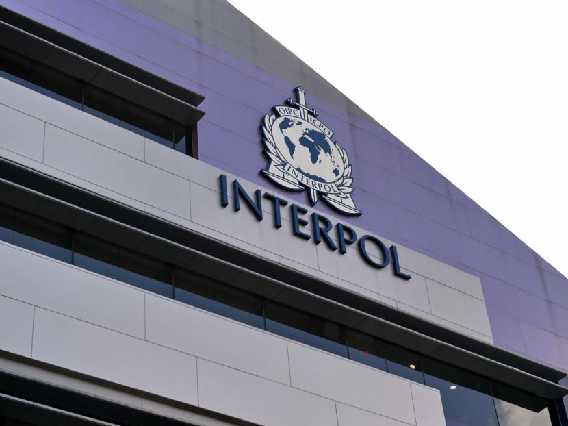 A view of Interpol’s Global Complex for Innovation in Singapore, where the three-day Heads of National Central Bureaus annual meeting will take place from Wednesday (June 7).