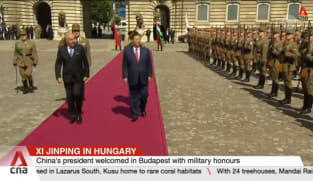Chinese President Xi looks to jointly elevate ties with Hungary
