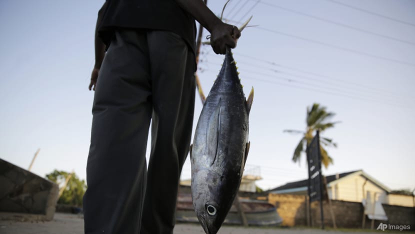 Environmentalists pile on pressure in Indian Ocean tuna row