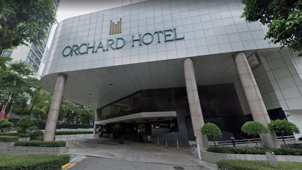 Orchard hotel 2025