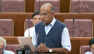 K Shanmugam on Penal Code (Amendment) Bill