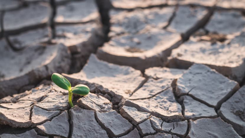 COP27: 7 reasons why Egypt’s climate conference matters in the fight against global warming COP27: 7 reasons why Egypt’s climate conference matters in the fight against global warming