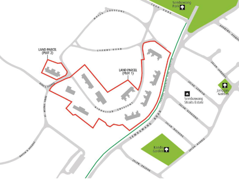 The authorities have earmarked a site near Sembawang Park to build a care facility for dementia patients, with opportunities for the successful tenderer and community partners to collaborate on active ageing programmes. The authorities have earmarked a site near Sembawang Park to build a care facility for dementia patients, with opportunities for the successful tenderer and community partners to collaborate on active ageing programmes.