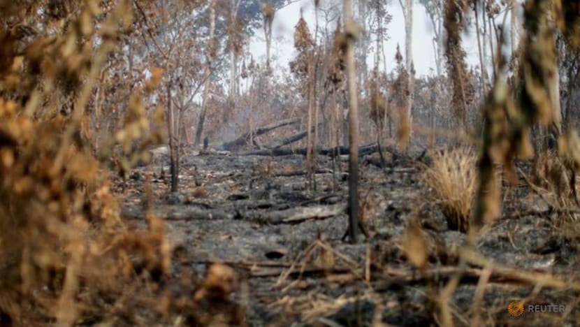 Indigenous people sue retailer Casino over Amazon destruction Indigenous people sue retailer Casino over Amazon destruction