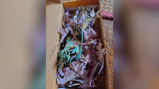 马国老妇纸盒存3万令吉 遭白蚁啃食成废纸