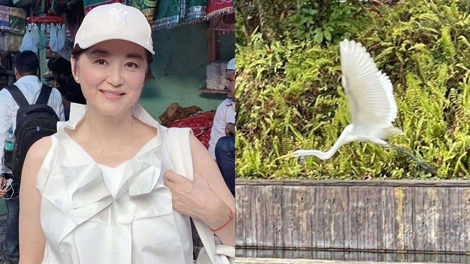 Lin Ching Hsia Posts Photos Of Cranes In The Backyard Of Her S$690mil House