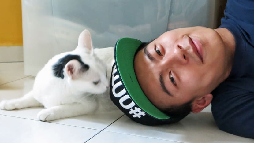 Furbulous Celebrity Meow series: Love at first sight for Nat Ho and Kymmi