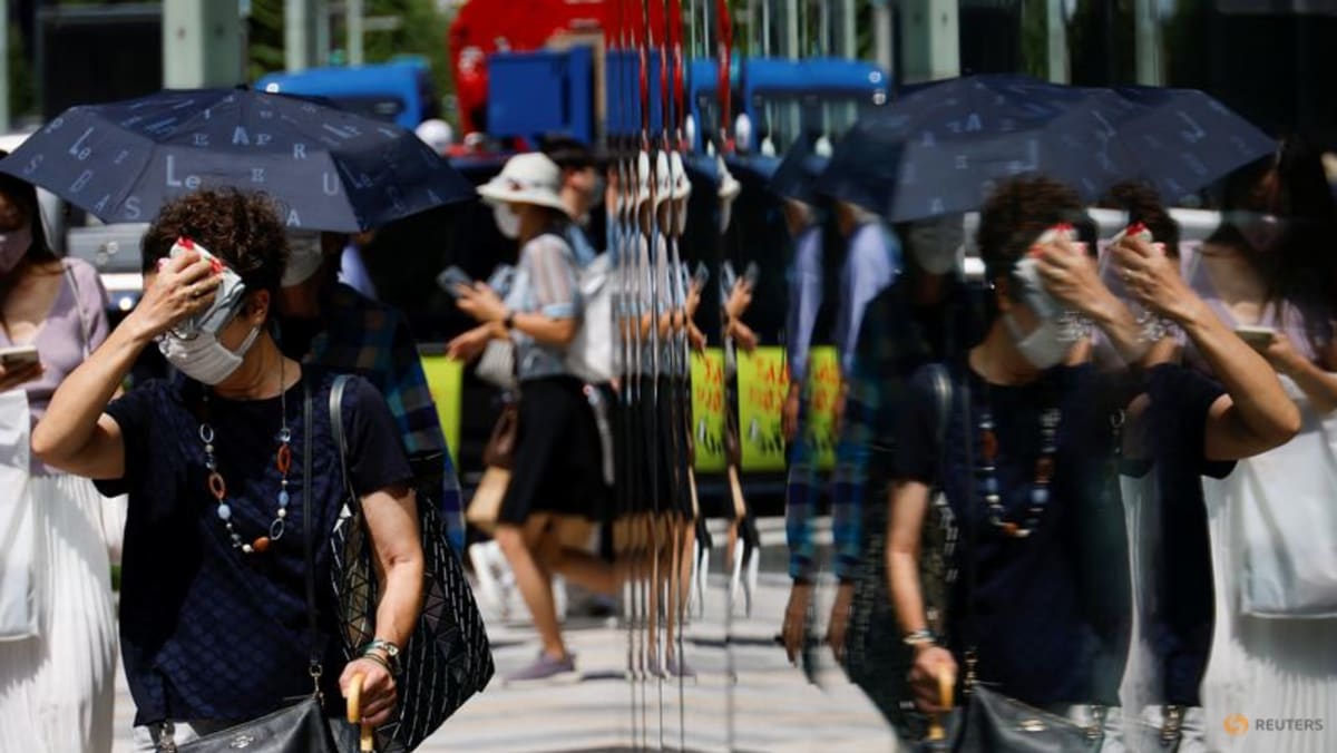 日本の6月の熱波は暑い日となり、電力供給にとって重要な時期になります