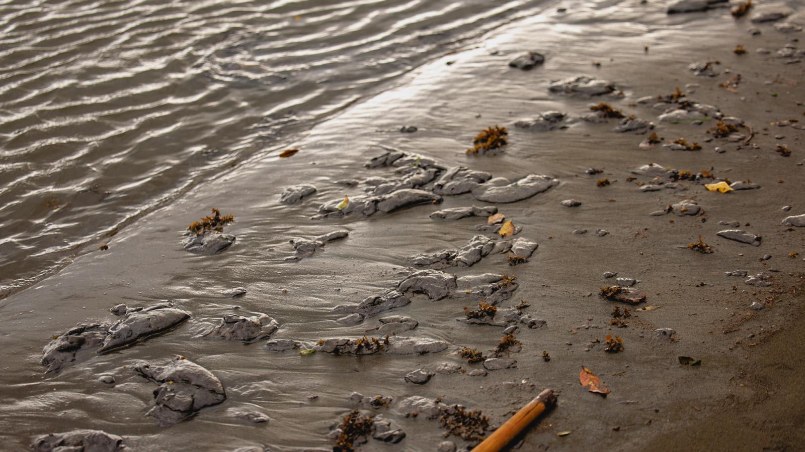 IN FOCUS: How a devastating oil spill has sparked new fears about ... Biology Diagrams