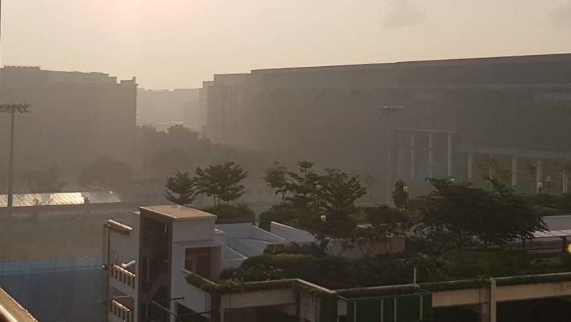 No sources of transboundary haze to explain smoky smell: NEA No sources of transboundary haze to explain smoky smell: NEA