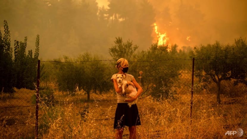 UN sounds clarion call over humans 'irreversible' impact on climate UN sounds clarion call over humans 'irreversible' impact on climate
