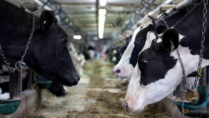 Commentary: Meat eaters think going vegan a good idea but will be unenjoyable and inconvenient Commentary: Meat eaters think going vegan a good idea but will be unenjoyable and inconvenient