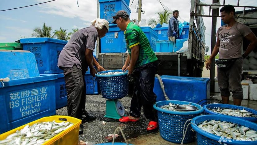 Malaysia election: Kedah fishermen unmoved by government gifts, many vow to vote opposition