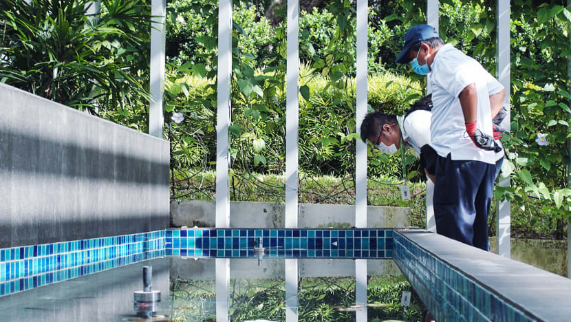 Tool kits to prevent mosquito breeding to be given to about 75,000 landed homes, as dengue cases remain high Tool kits to prevent mosquito breeding to be given to about 75,000 landed homes, as dengue cases remain high