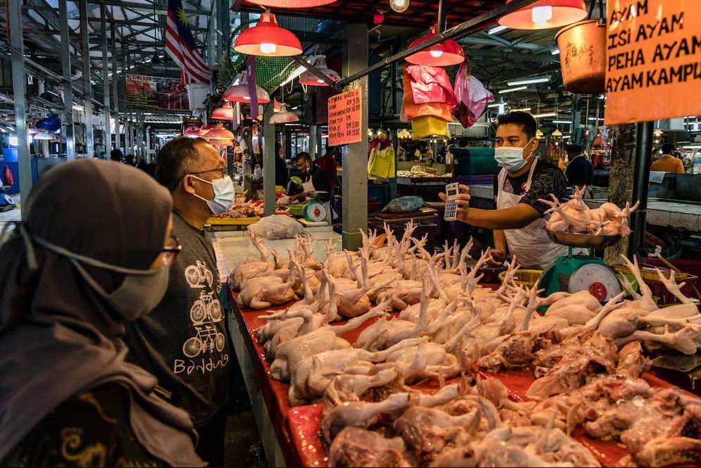 Malaysia to halt export of 3.6 million chickens a month from June 1 to address domestic shortage, rising prices