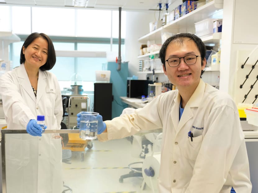 Members of the Nanyang Technological University research team include Dr Long Yi (left), senior lecturer at the School of Materials Science & Engineering, and PhD student Wang Shancheng.