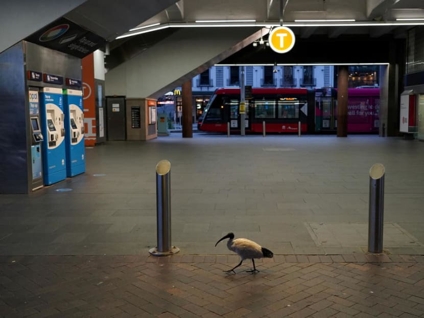 Australia's largest city posts record daily rise in Covid-19 cases, seeks military help Australia's largest city posts record daily rise in Covid-19 cases, seeks military help