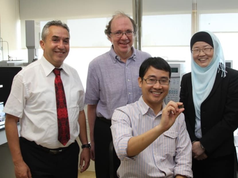 Researchers from Singapore's IBM of A*Star and Quebec's IREQ ( Hydro-Québec’s research institute) discover a breakthrough in rechargeable batteries. Photo: IBN and IREQ