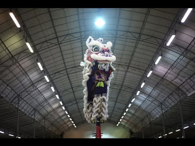 Lion Dance - Staying In Step