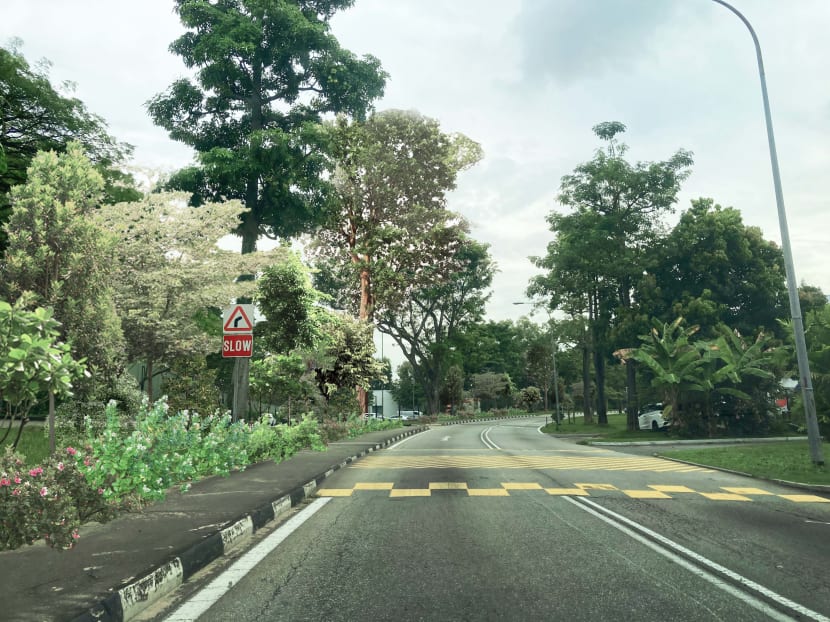An artist's impression of Upper Changi Road North after the completion of the upcoming green corridor connecting East Coast Park with Changi Beach Park.
