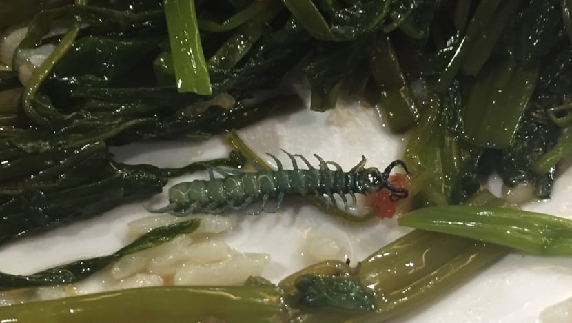 Mixed rice stall penalised after centipede found in food: Kopitiam Mixed rice stall penalised after centipede found in food: Kopitiam