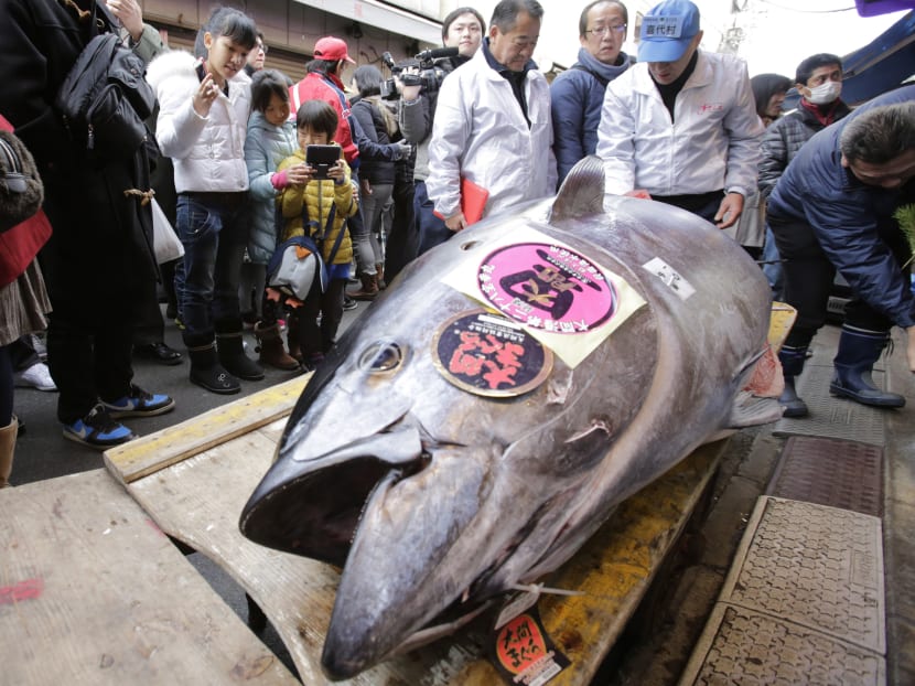 Surrogate sushi: Japan biotech for bluefin tuna