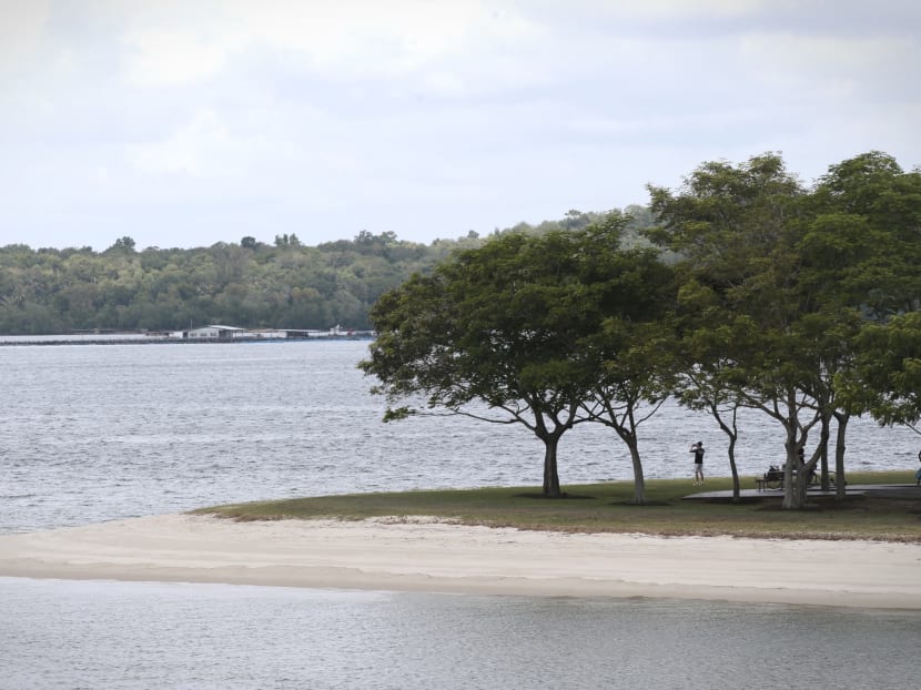 Scientists trace S’pore’s sea level back 10,000 years, boosting ability to predict effects of climate change Scientists trace S’pore’s sea level back 10,000 years, boosting ability to predict effects of climate change