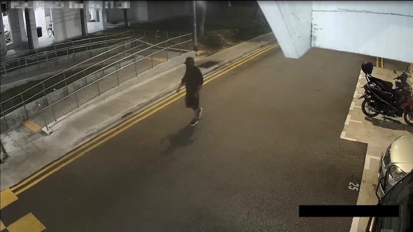 Caught on camera: How 90,000 police cameras across Singapore help solve crimes Caught on camera: How 90,000 police cameras across Singapore help solve crimes