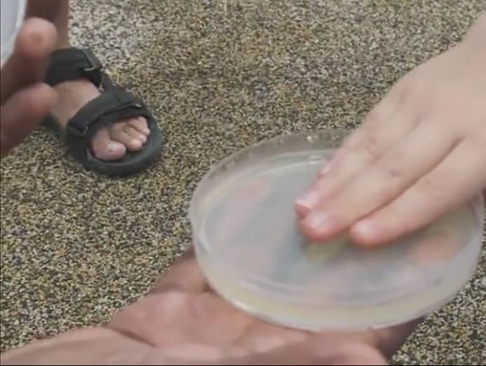 Is antibacterial soap better at killing germs, hands down? CNA Lifestyle