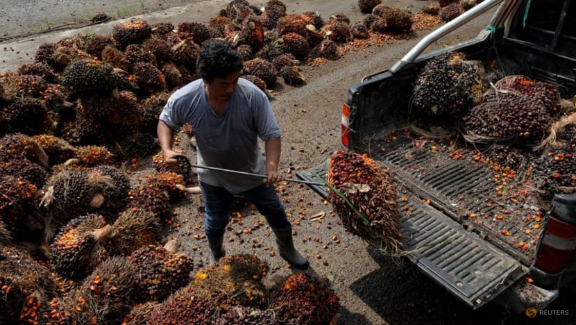 Malaysia end-Jan palm oil stocks seen at 5-month low as output drops: Reuters survey Malaysia end-Jan palm oil stocks seen at 5-month low as output drops: Reuters survey