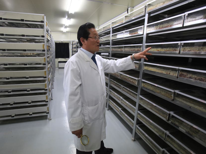 In this May 3, 2011, photo, a North Korea born scientist Lee T B who defected to South Korea in 2005, speaks at his mushroom laboratory during an interview with the Associated Press in Geumsan, South Korea. Photo: AP