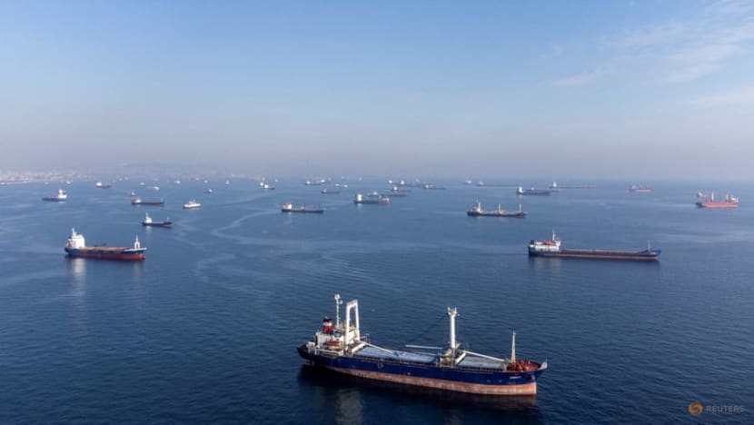 Russia denies slowing inspections for Ukraine grain ships Russia denies slowing inspections for Ukraine grain ships
