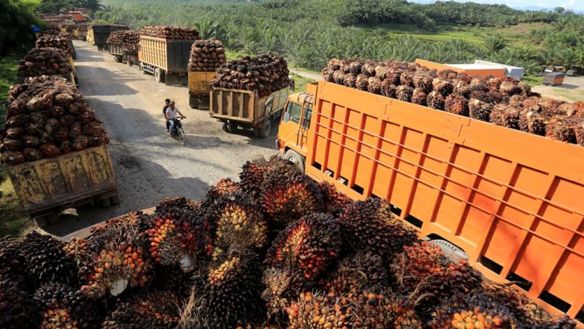 Indonesian prosecutors name 3 palm oil groups suspects in corruption case Indonesian prosecutors name 3 palm oil groups suspects in corruption case