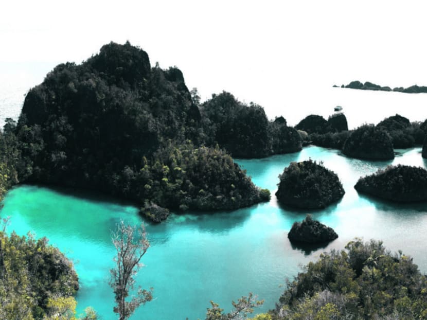 Gallery Diving into Indonesia’s Raja Ampat was worth the 12hour