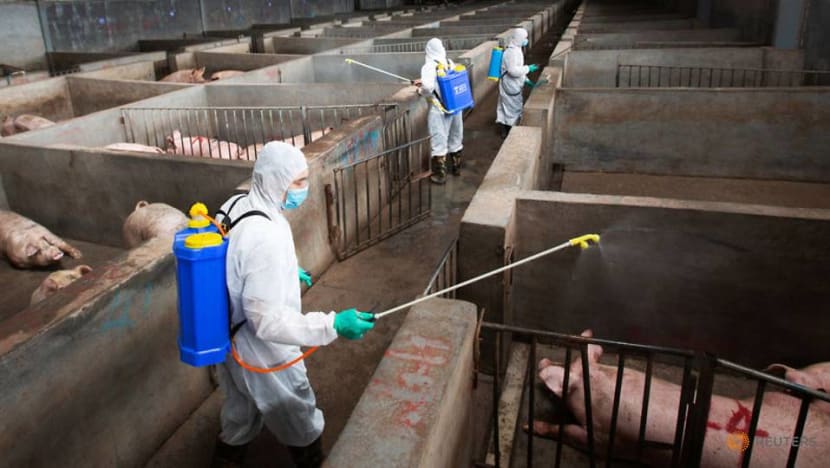 New swine flu found in China has pandemic potential: Study
