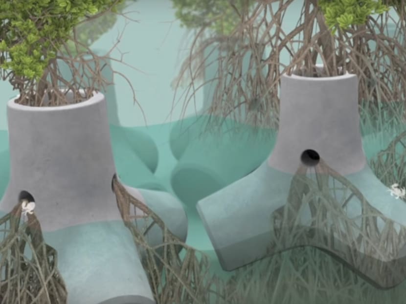 Designers say a series of large concrete plant plots could be placed along an endangered section of a coastline. Mangrove trees are grown in the pots, and these mangroves eventually bind together, forming a coastal defence.