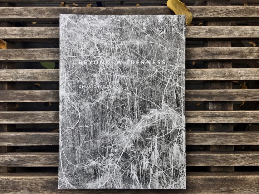Beyond Wilderness is the first publication by Singaporean conceptual photographer Chua Chye Teck, capturing the shrinking wilderness in Singapore. Photo: Chua Chye Teck