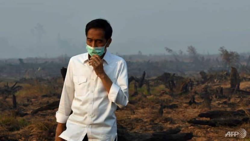 Commentary: Three things Jokowi could do better to stop the haze and forest fires in Indonesia Commentary: Three things Jokowi could do better to stop the haze and forest fires in Indonesia