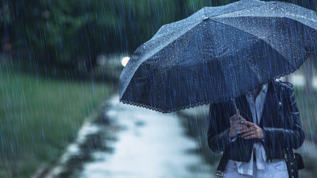 环境局：本地接下来两周将迎来多雨天气 - 8world