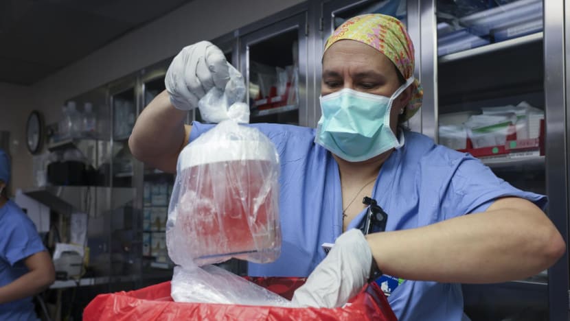 20240316 mcr kidney transplant 244