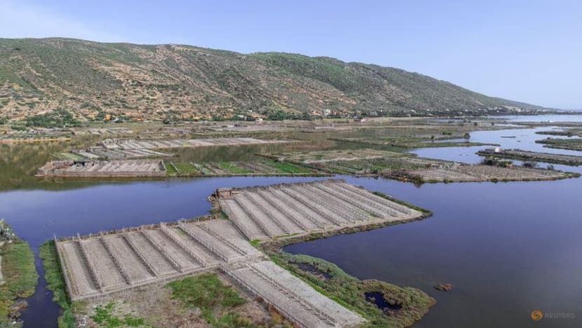 Tunisia's lagoon farmers cling on as sea level rises Tunisia's lagoon farmers cling on as sea level rises
