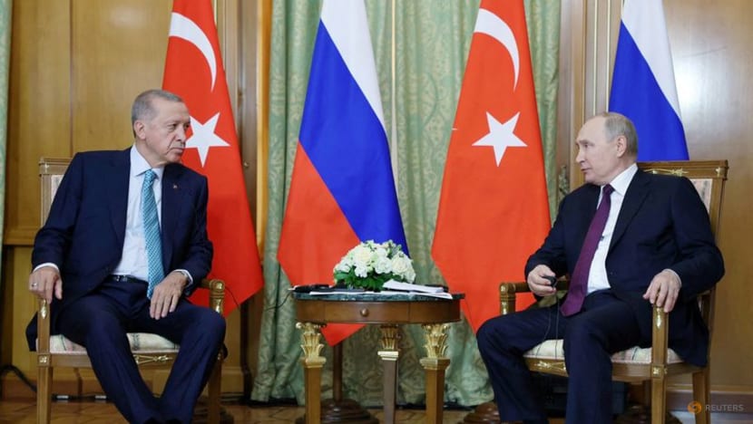 Türkiye's Erdogan says Black Sea grain deal can be restored soon