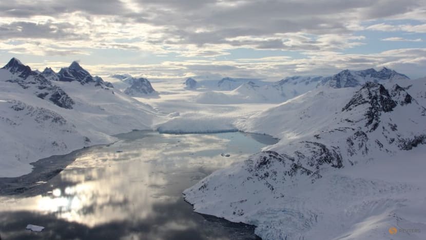 Isolated Greenland polar bear population adapts to climate change Isolated Greenland polar bear population adapts to climate change