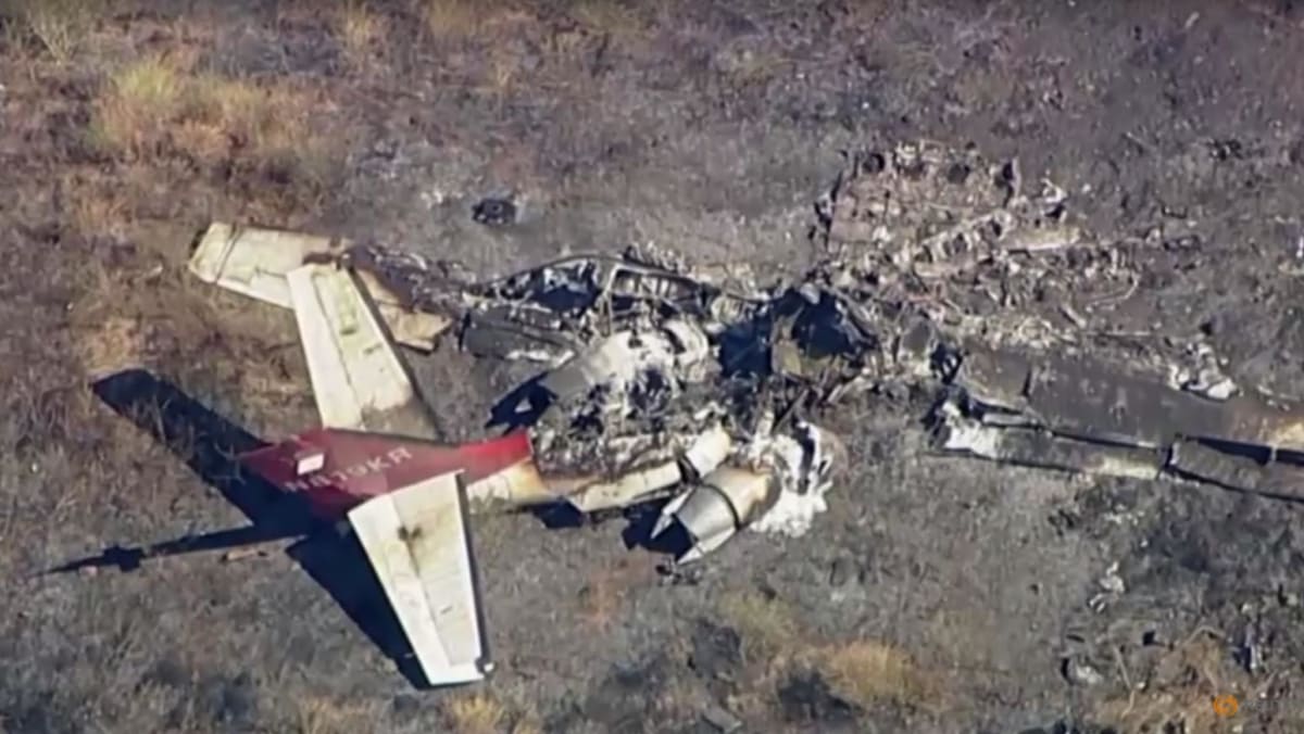 Six dead in private jet crash outside Los Angeles - CNA