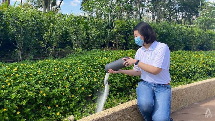 Ash scattering garden in Choa Chu Kang receives 1,900 applications; another site to open by 2024: NEA