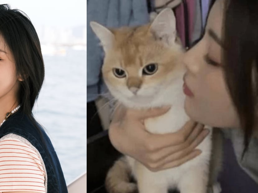 Chinese actress Yang Chaoyue accused of abandoning her pets after she casually said one of her cats has gone 'gallivanting' and has no idea where he is
