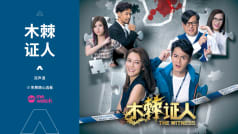 The Witness The Witness