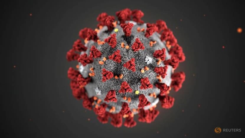 Spain confirms first case of Wuhan coronavirus