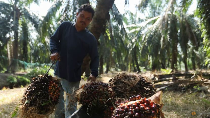 Malaysia, China ink partnership to stabilise palm oil supply chain Malaysia, China ink partnership to stabilise palm oil supply chain
