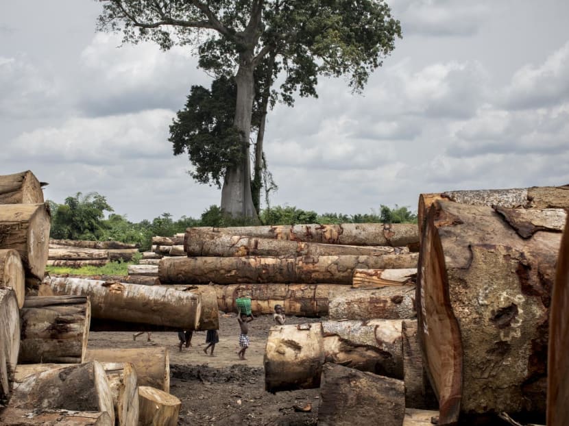 A logging port on the Congo River in the Democratic Republic of Congo, home to one of the largest old-growth rainforests on earth, on March 18, 2022. A logging port on the Congo River in the Democratic Republic of Congo, home to one of the largest old-growth rainforests on earth, on March 18, 2022. 